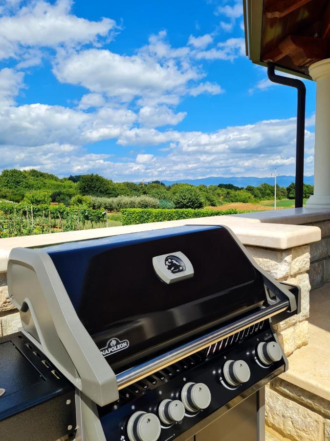 Holiday Apartment Villa Bianca Pazin Exterior foto